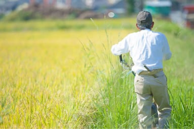 社名非公開企業の画像
