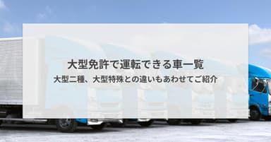 大型免許で運転できる車一覧|大型二種、大型特殊との違いもあわせてご紹介