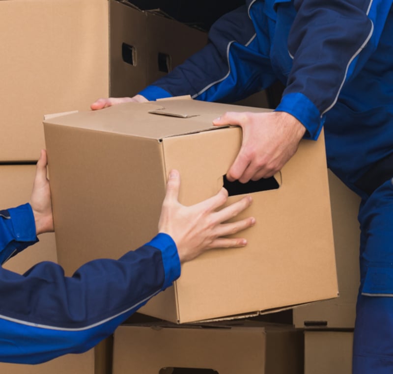 株式会社ワールドネットワークの画像3枚目