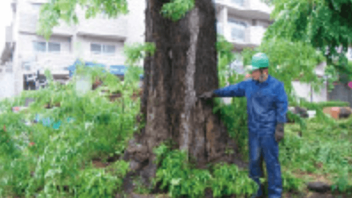 蘆花園植木株式会社の画像2枚目