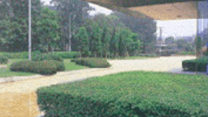 蘆花園植木株式会社の画像3枚目