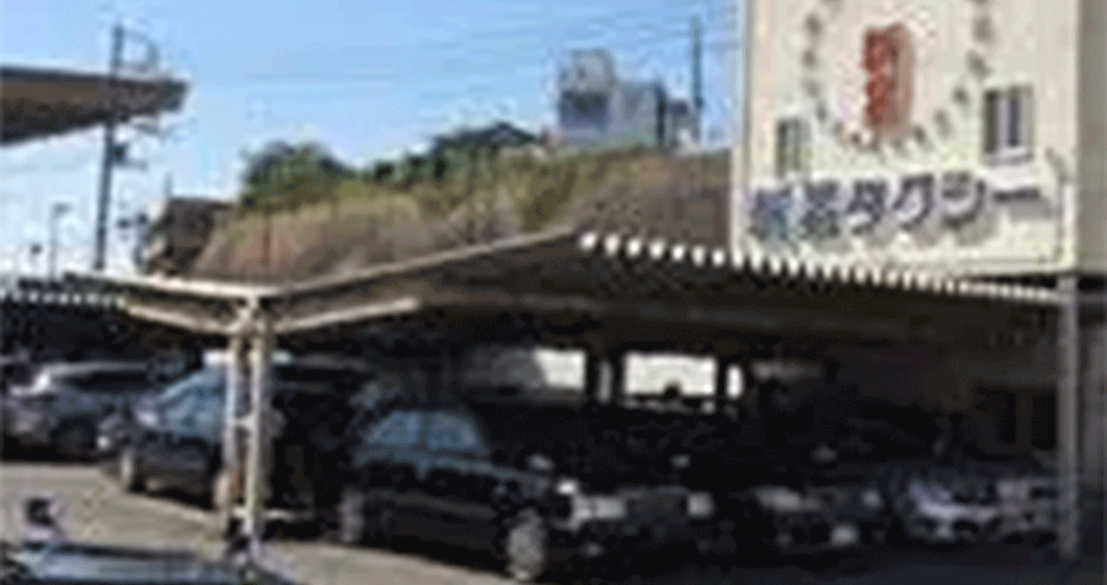 新星自動車 株式会社の画像3枚目