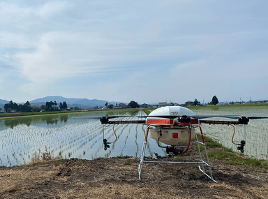 有限会社 三信の画像