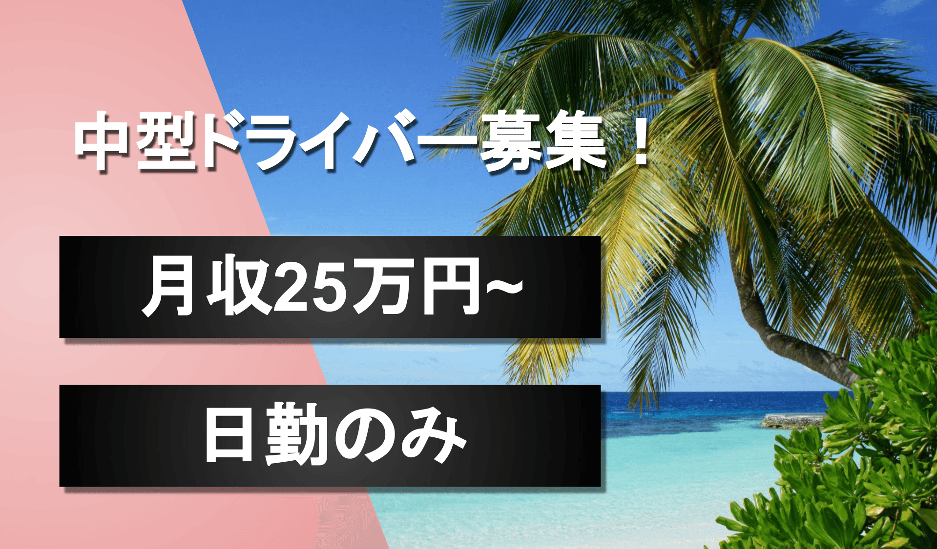 有限会社 山一商店の画像