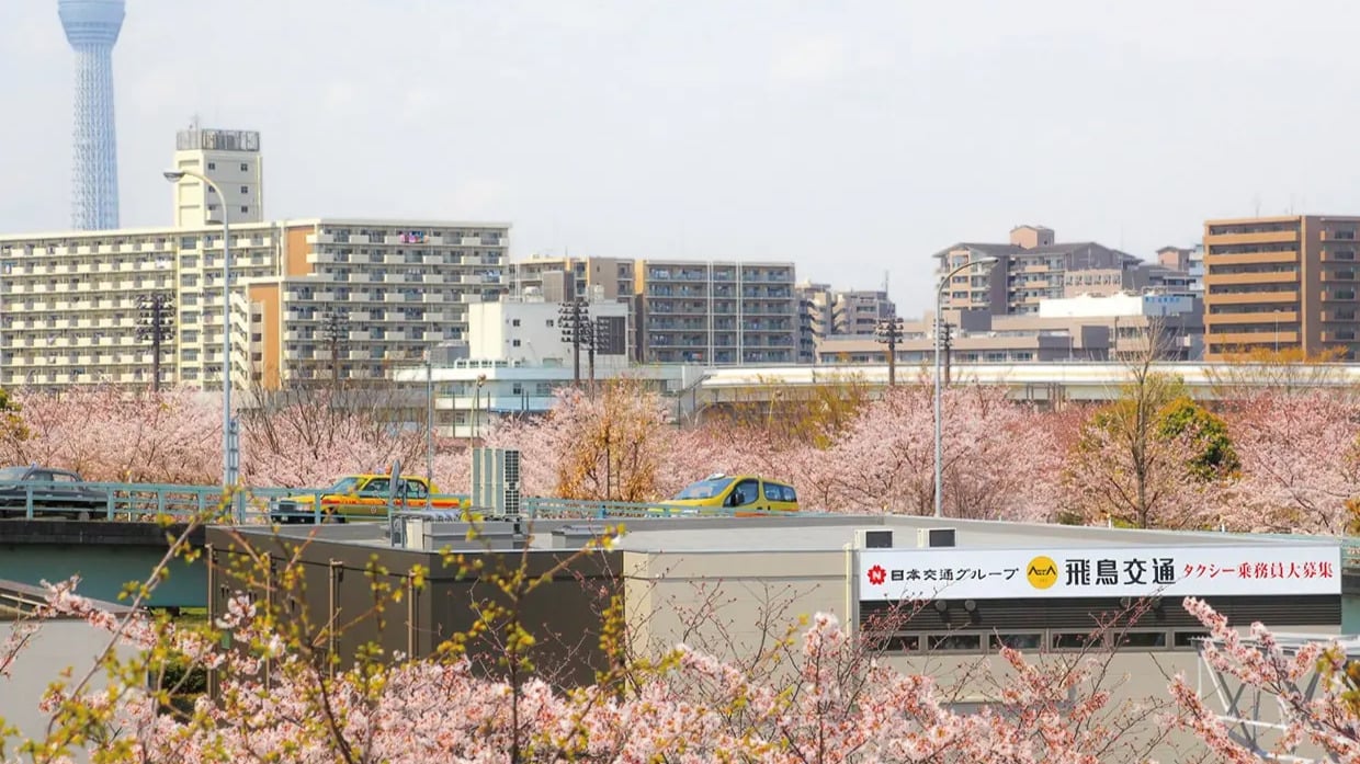 飛鳥交通 株式会社  の画像2枚目