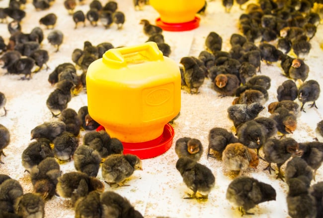 株式会社 ヤマモトの画像