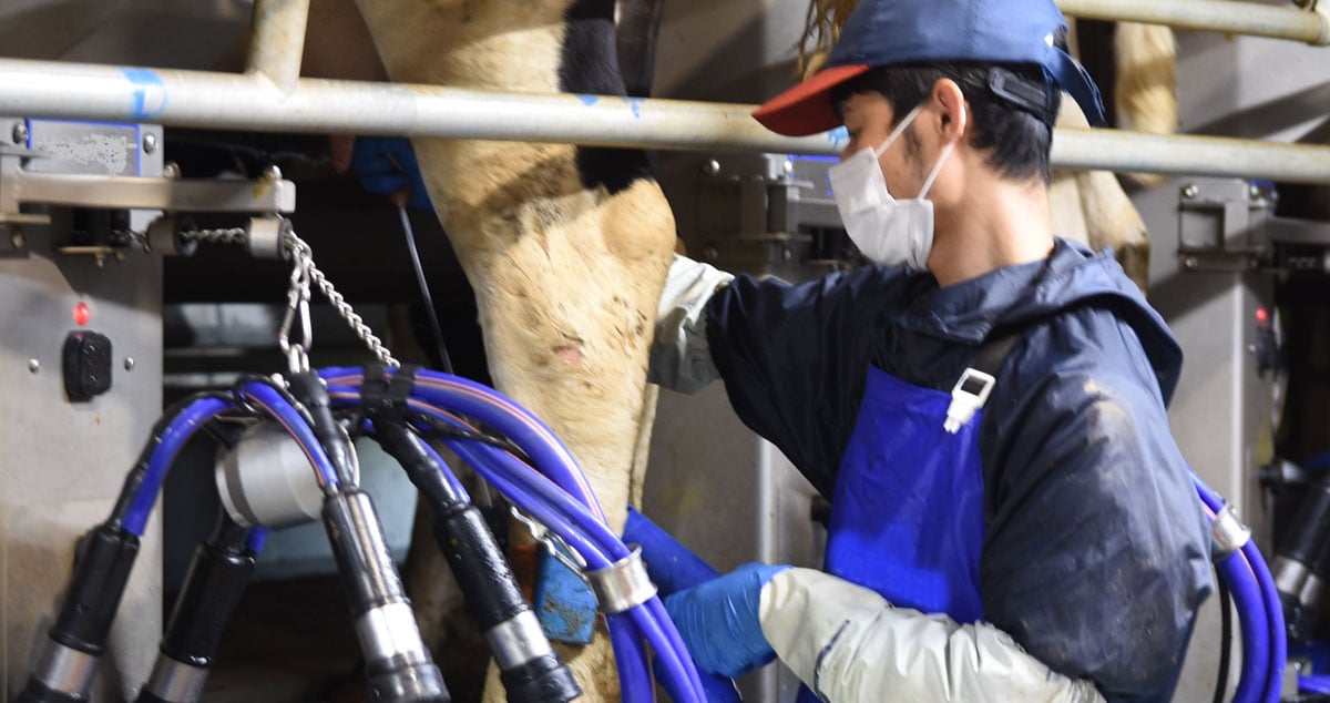 株式会社 ノベルズの画像20枚目