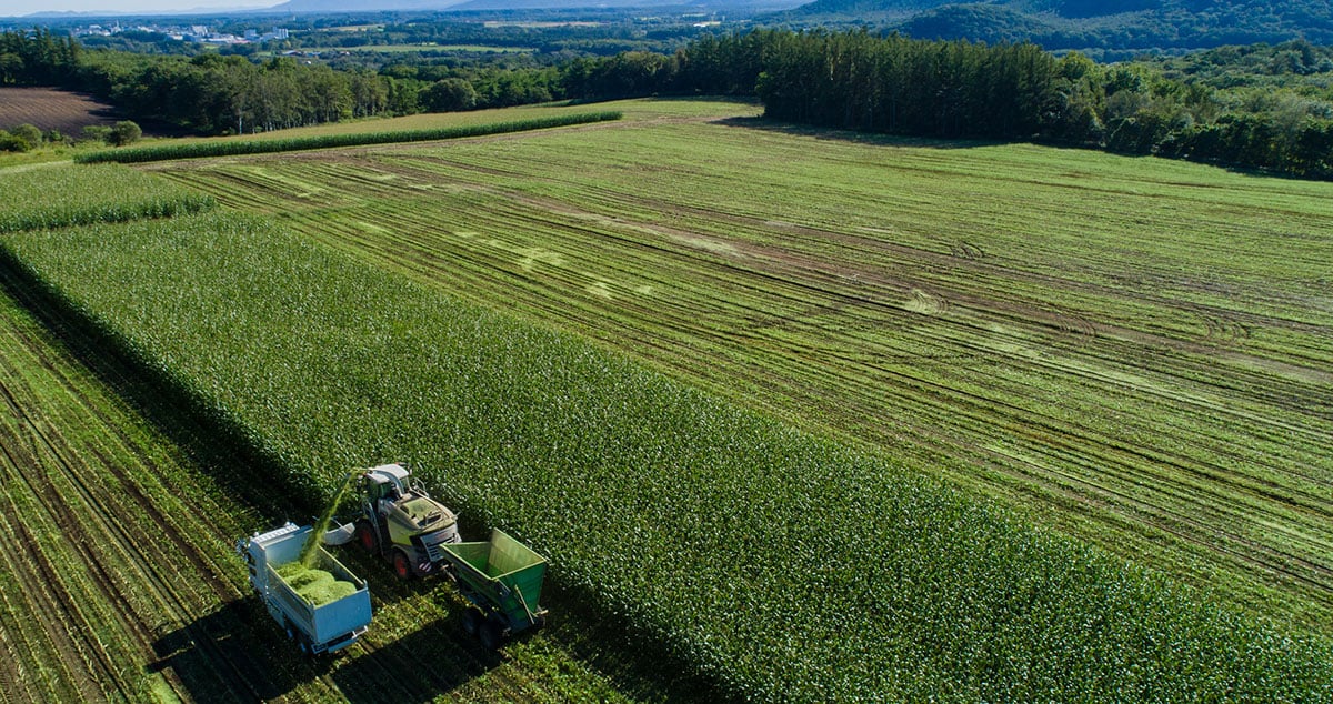 株式会社 ノベルズの画像13枚目