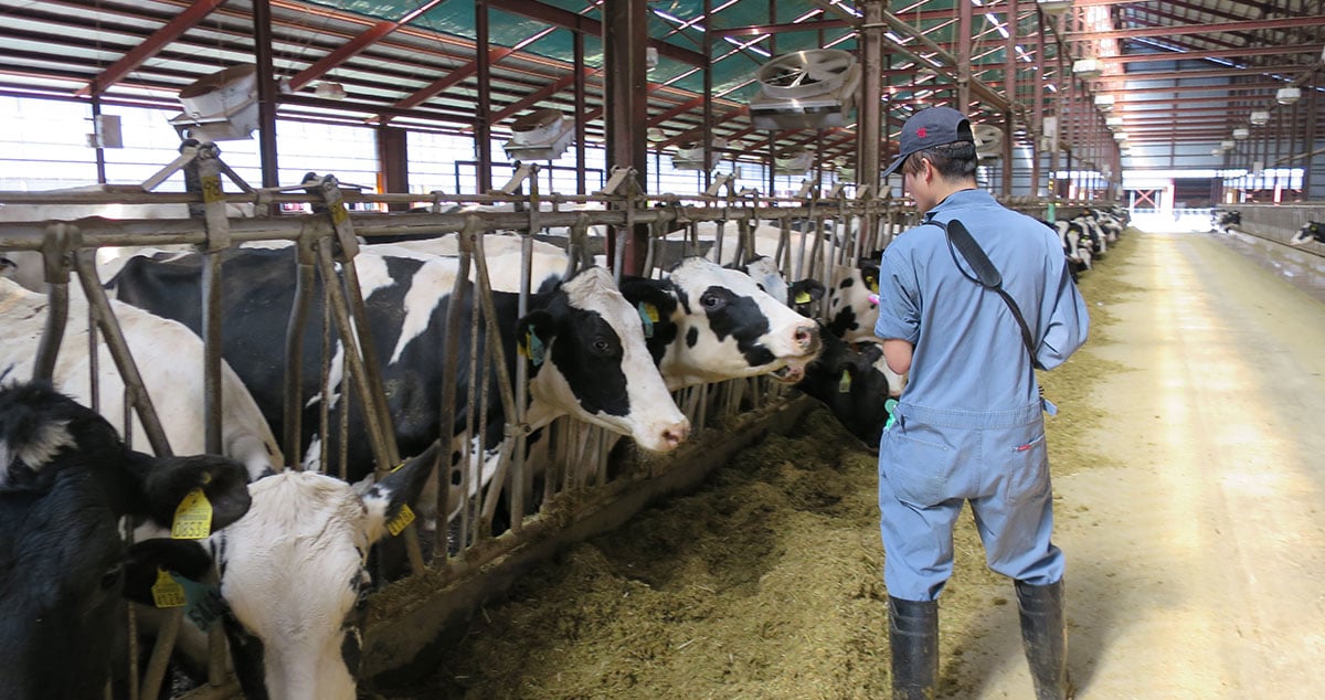 株式会社 ノベルズの画像4枚目