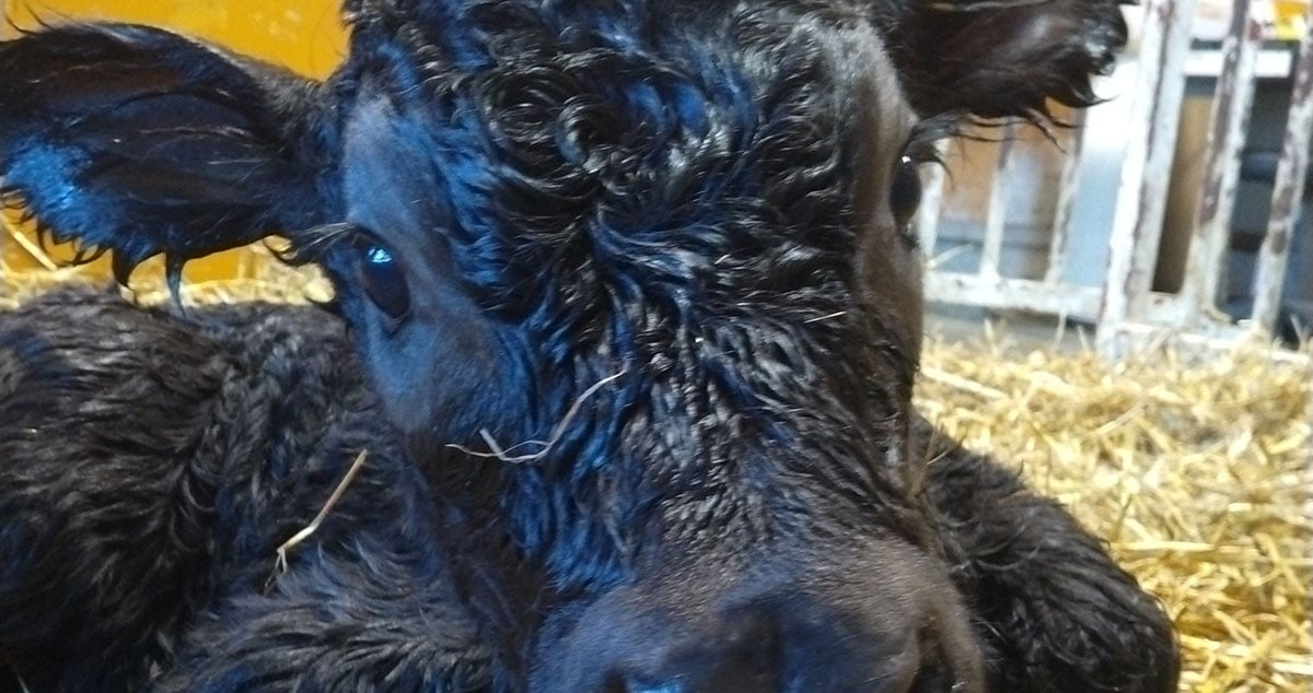 株式会社 ノベルズの画像10枚目