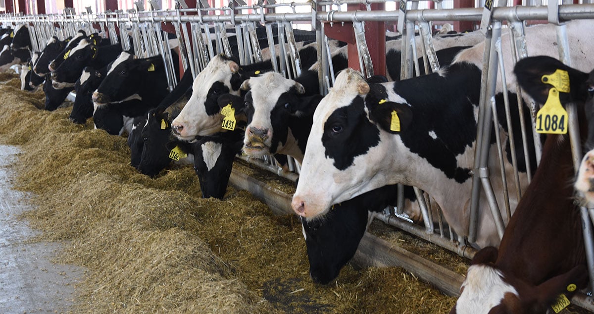 株式会社 ノベルズの画像19枚目