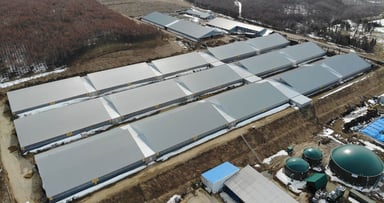 株式会社 ノベルズの画像