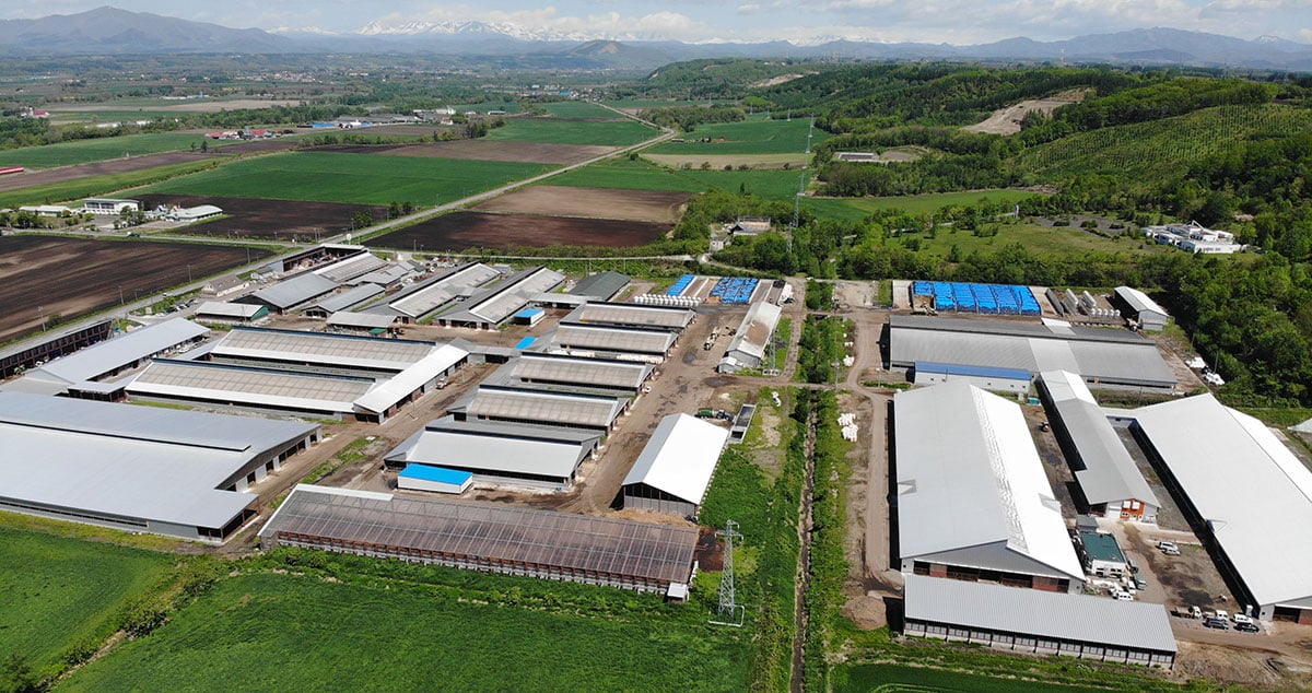 株式会社 ノベルズの画像15枚目