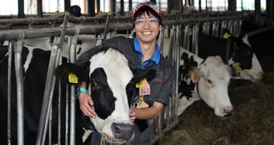 株式会社 ノベルズの画像