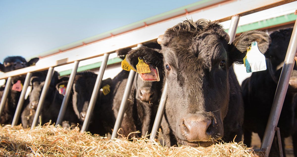株式会社 ノベルズの画像3枚目