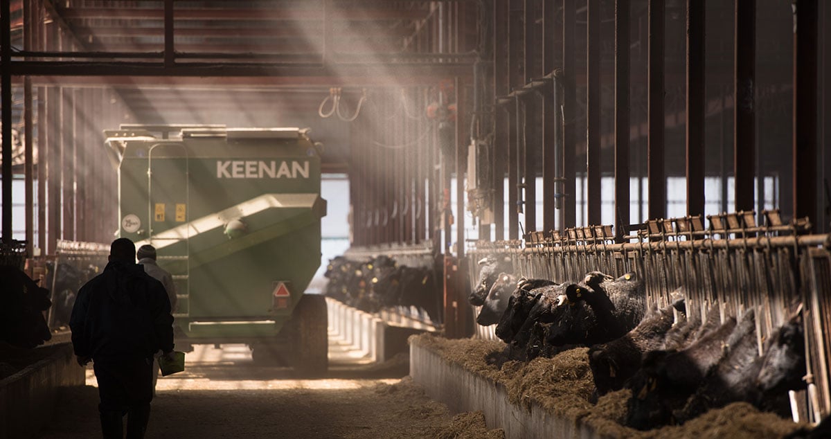 株式会社 ノベルズの画像11枚目