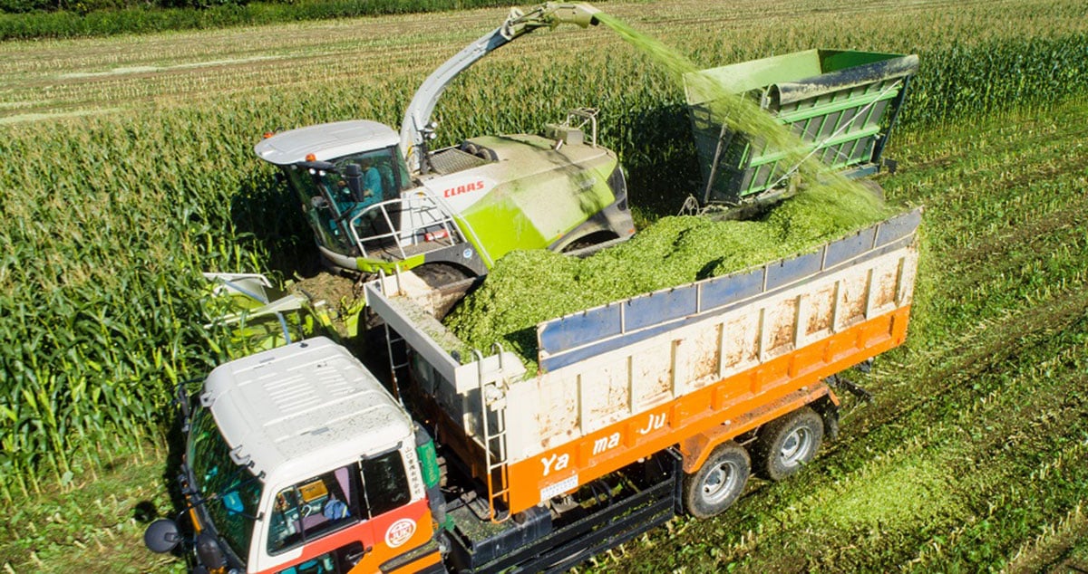 株式会社 ノベルズの画像12枚目