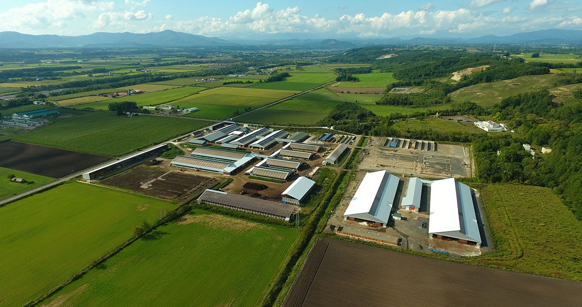 株式会社 ノベルズの画像8枚目