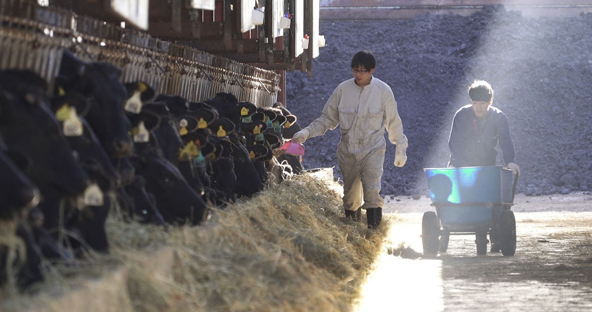 株式会社 ノベルズの画像6枚目
