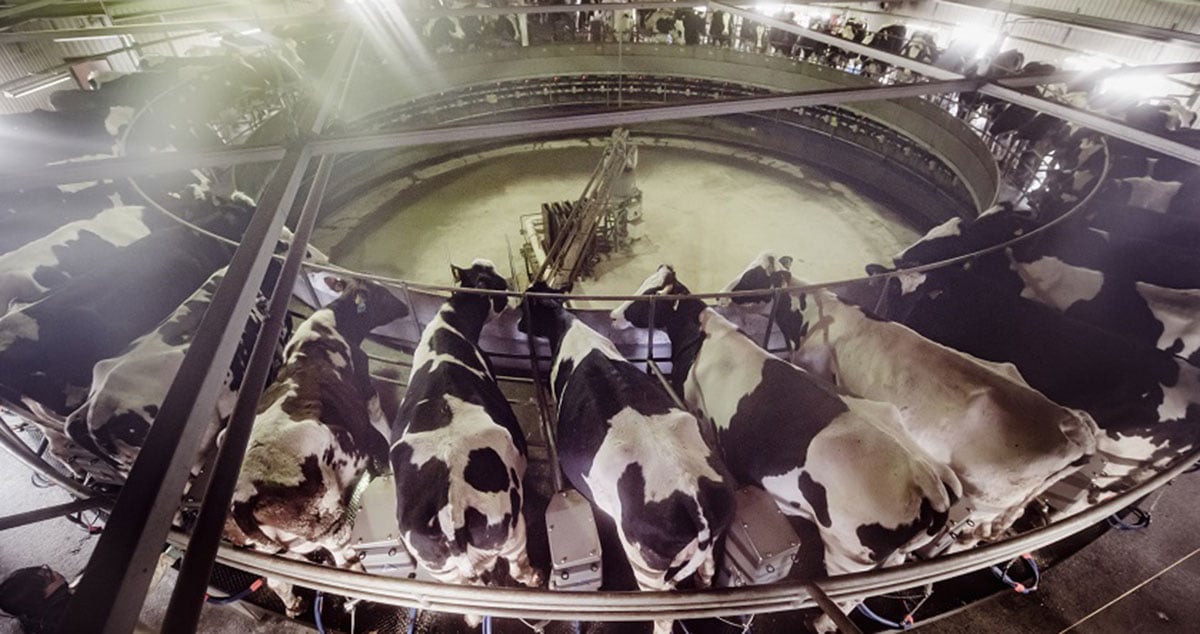 株式会社 ノベルズの画像21枚目