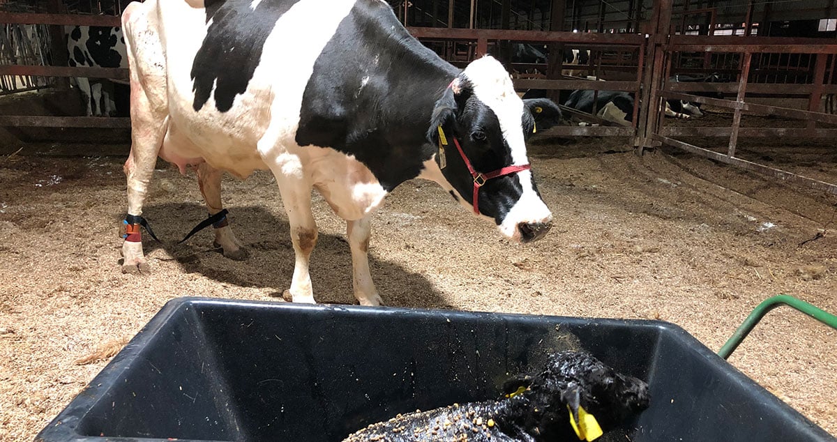株式会社 ノベルズの画像18枚目