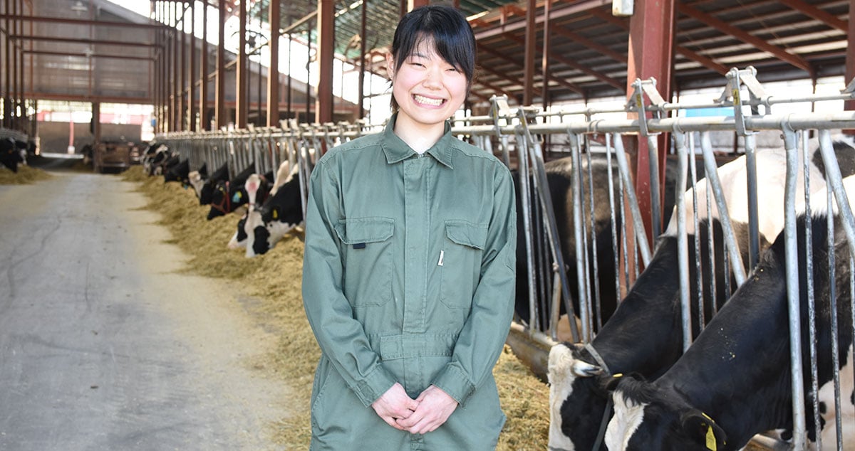 株式会社 ノベルズの画像7枚目