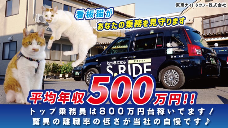 東京ナイトタクシー 株式会社の画像