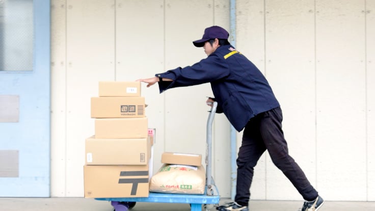 株式会社D2D Nexusの画像6枚目