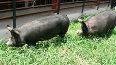 窪ファーム株式会社の画像