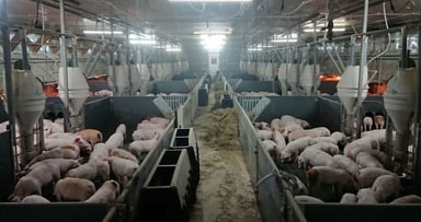 有限会社 山中畜産の画像