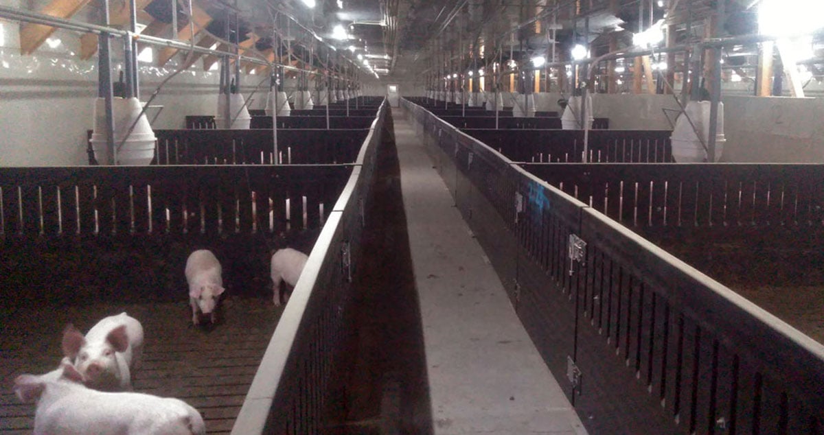 有限会社 山中畜産の画像3枚目