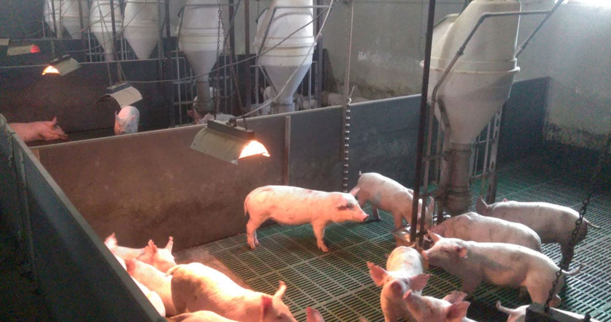 有限会社 山中畜産の画像6枚目