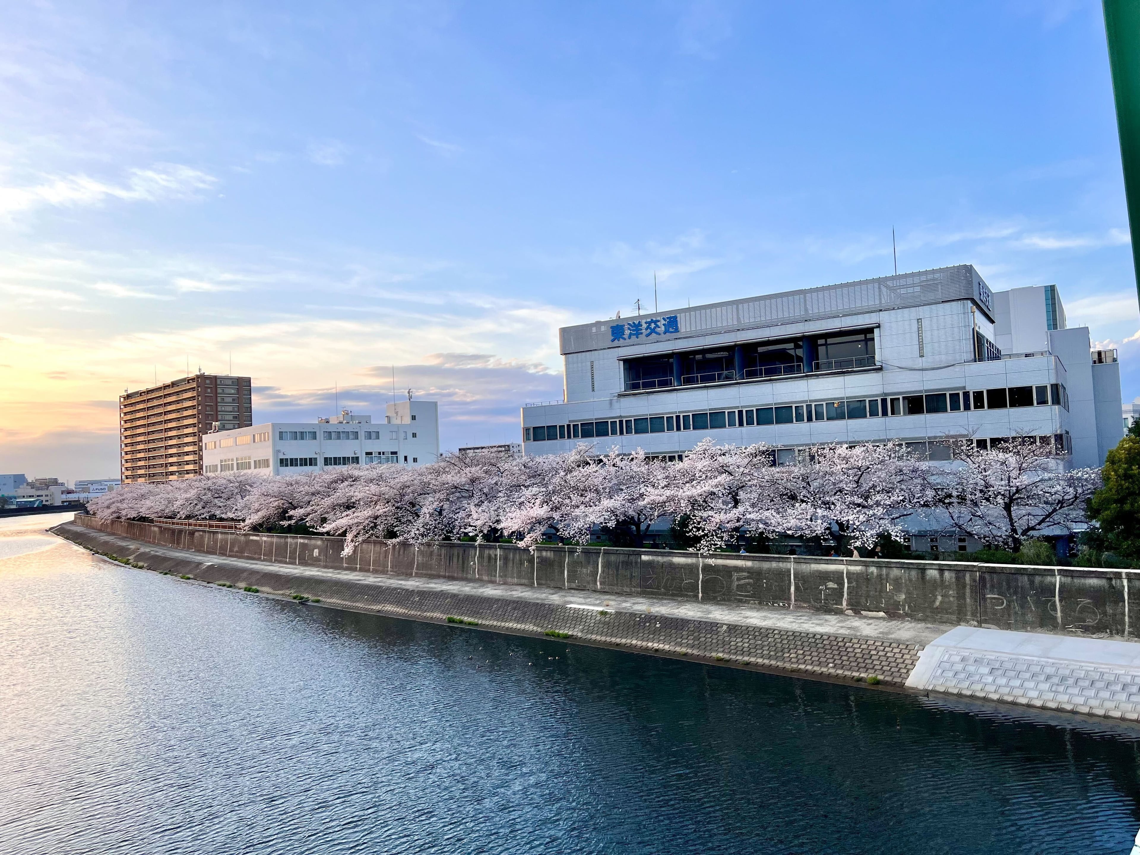 東洋交通 株式会社の画像19枚目