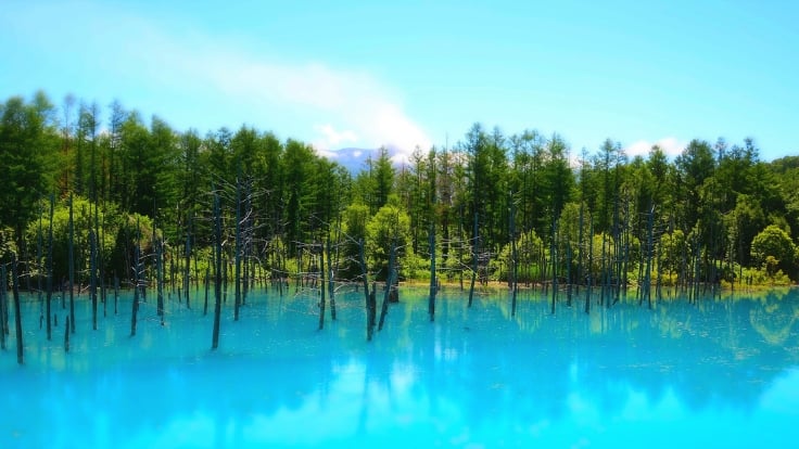 金星旭川ハイヤー株式会社の画像6枚目