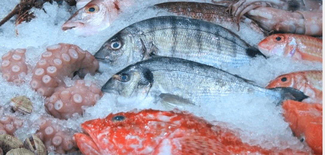 神港魚類　株式会社の画像