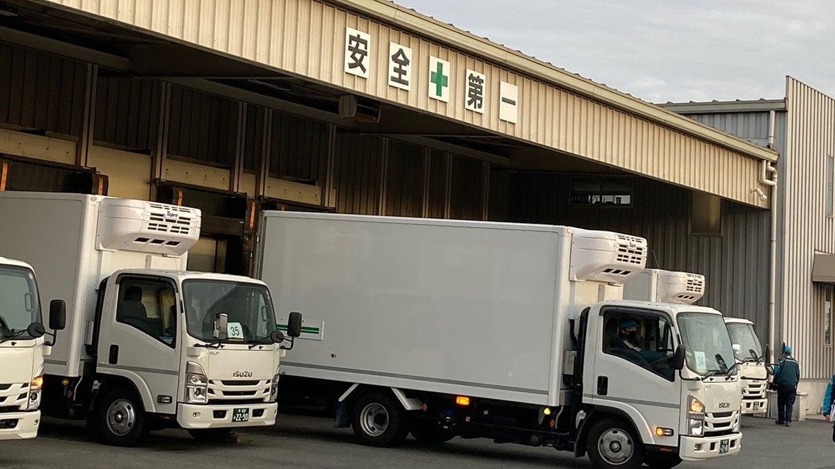 三井物産流通グループ株式会社の画像22枚目