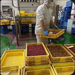 合同会社 湘南ファームの画像8枚目