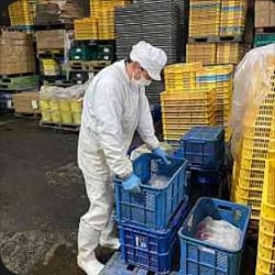 合同会社 湘南ファームの画像7枚目