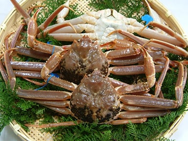 株式会社 カネ貞の画像