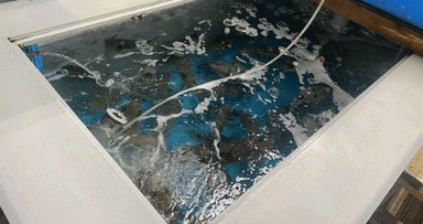 株式会社長崎ファームの画像