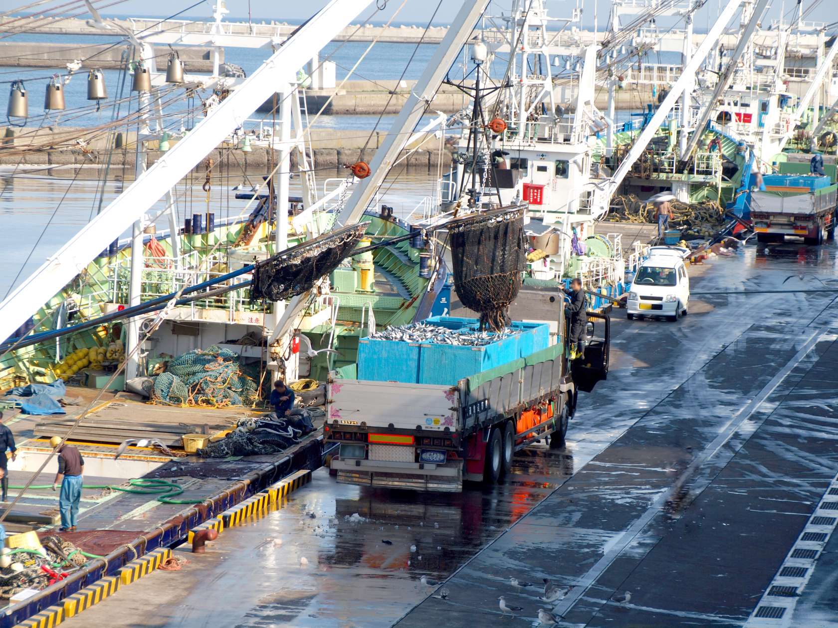 株式会社 大一の画像4枚目