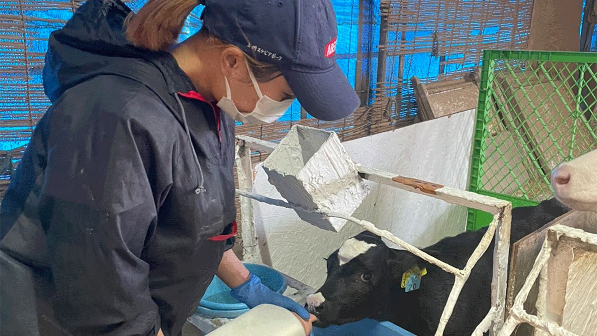 リプロ株式会社の画像10枚目