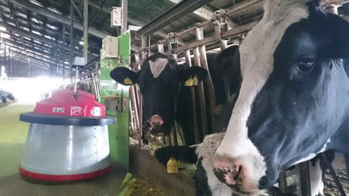 リプロ株式会社の画像6枚目