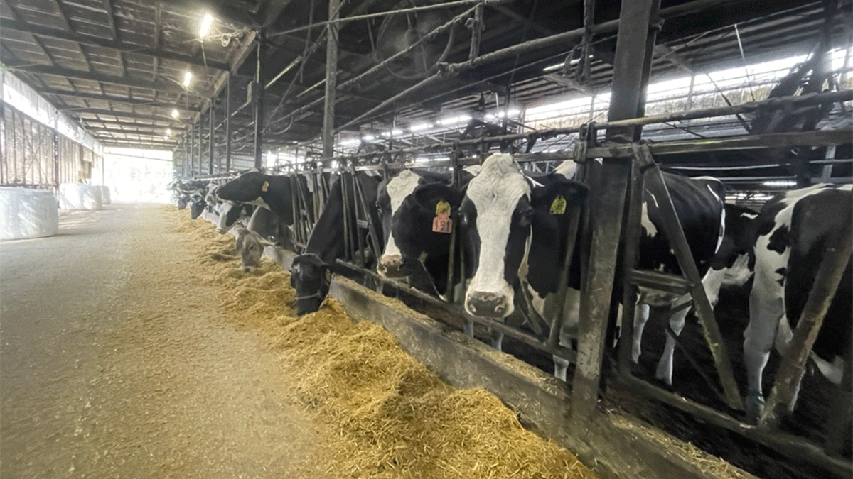 リプロ株式会社の画像8枚目