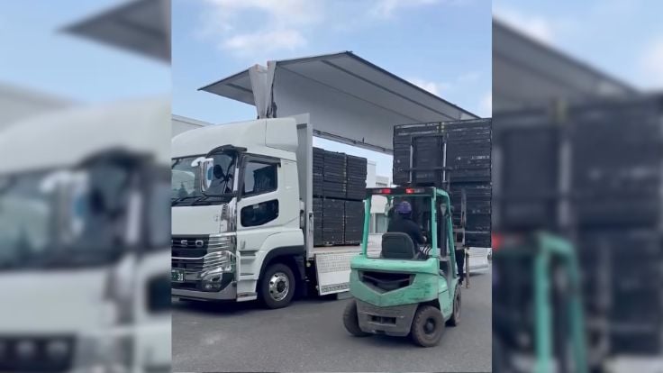 フロンタル株式会社の画像3枚目