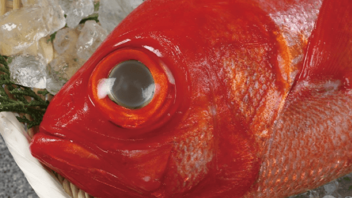 株式会社 江戸吉の画像3枚目