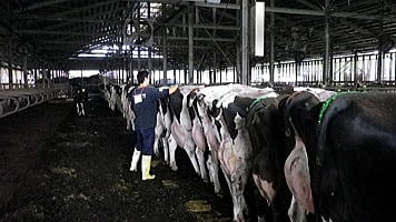 有限会社AK牧場の画像