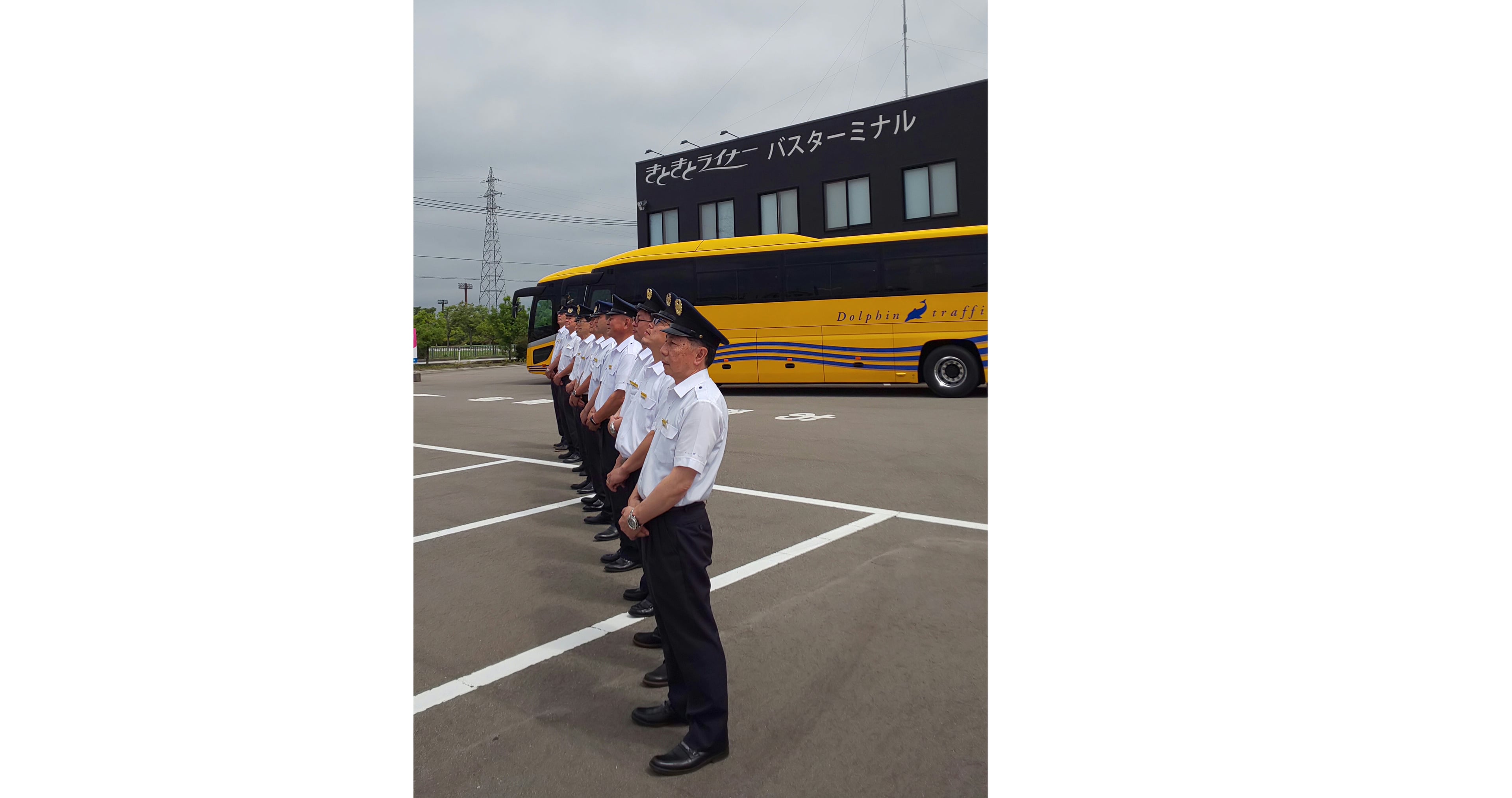 イルカ交通株式会社の画像5枚目