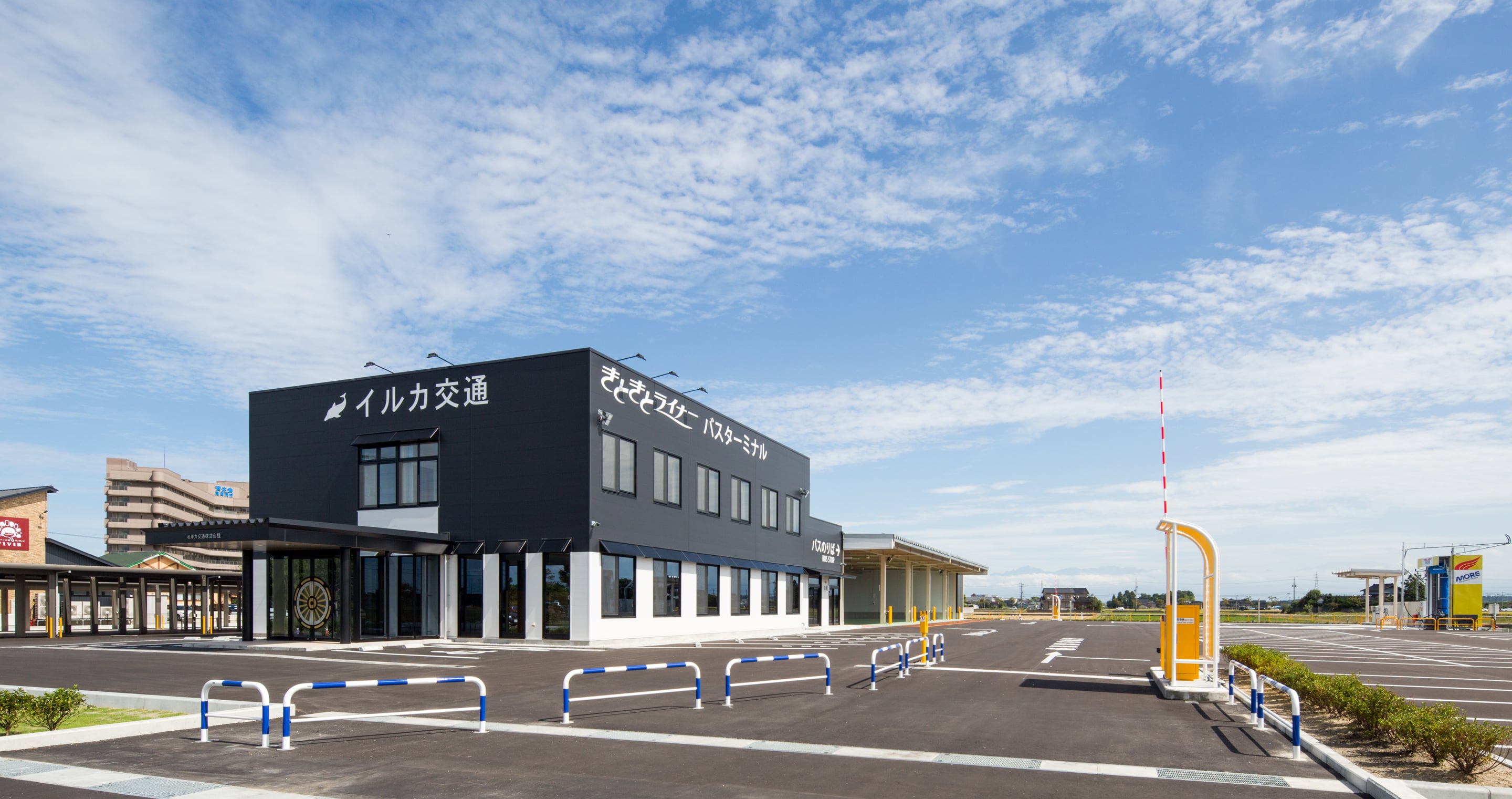 イルカ交通株式会社の画像2枚目