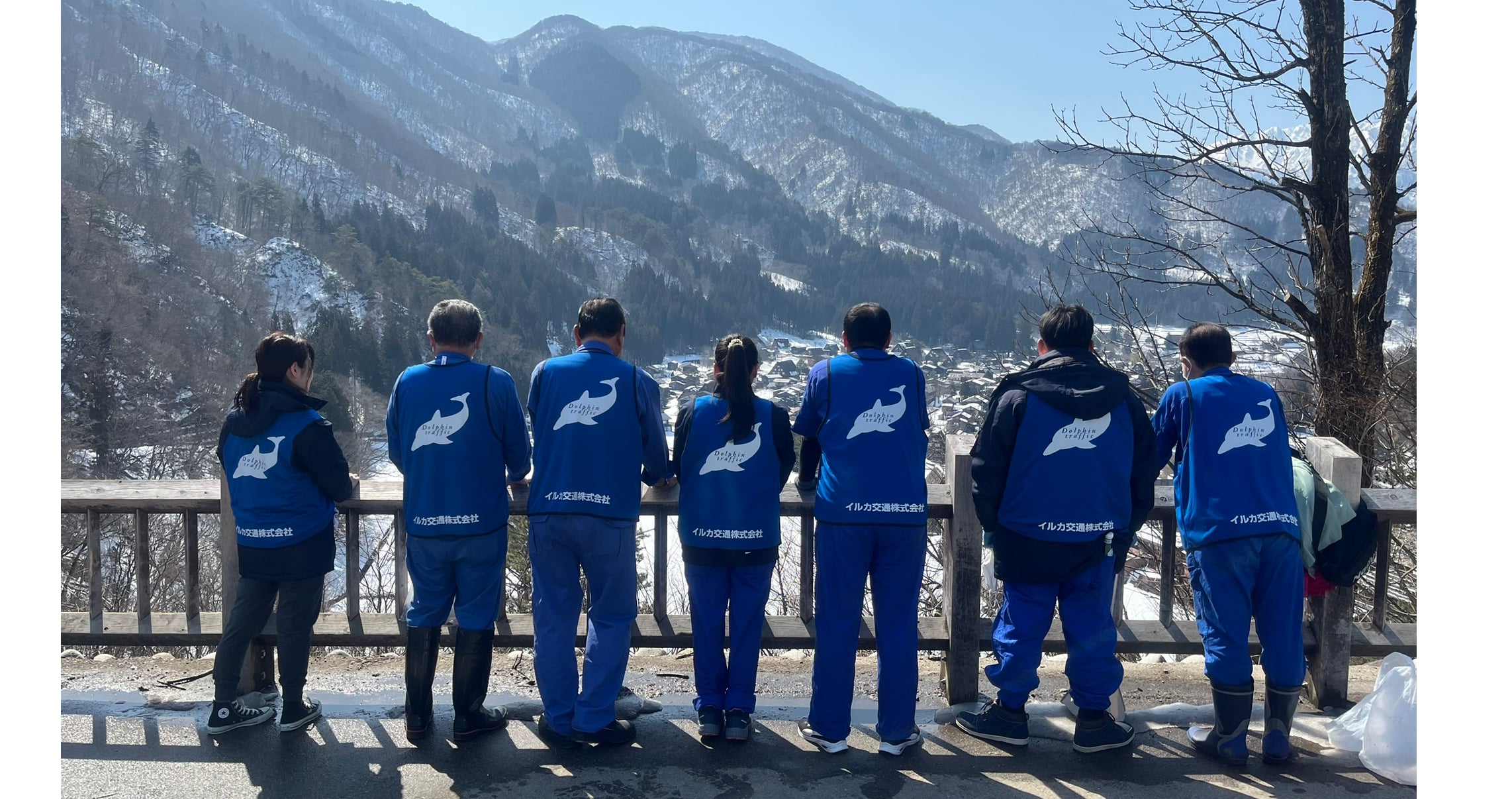 イルカ交通株式会社の画像6枚目